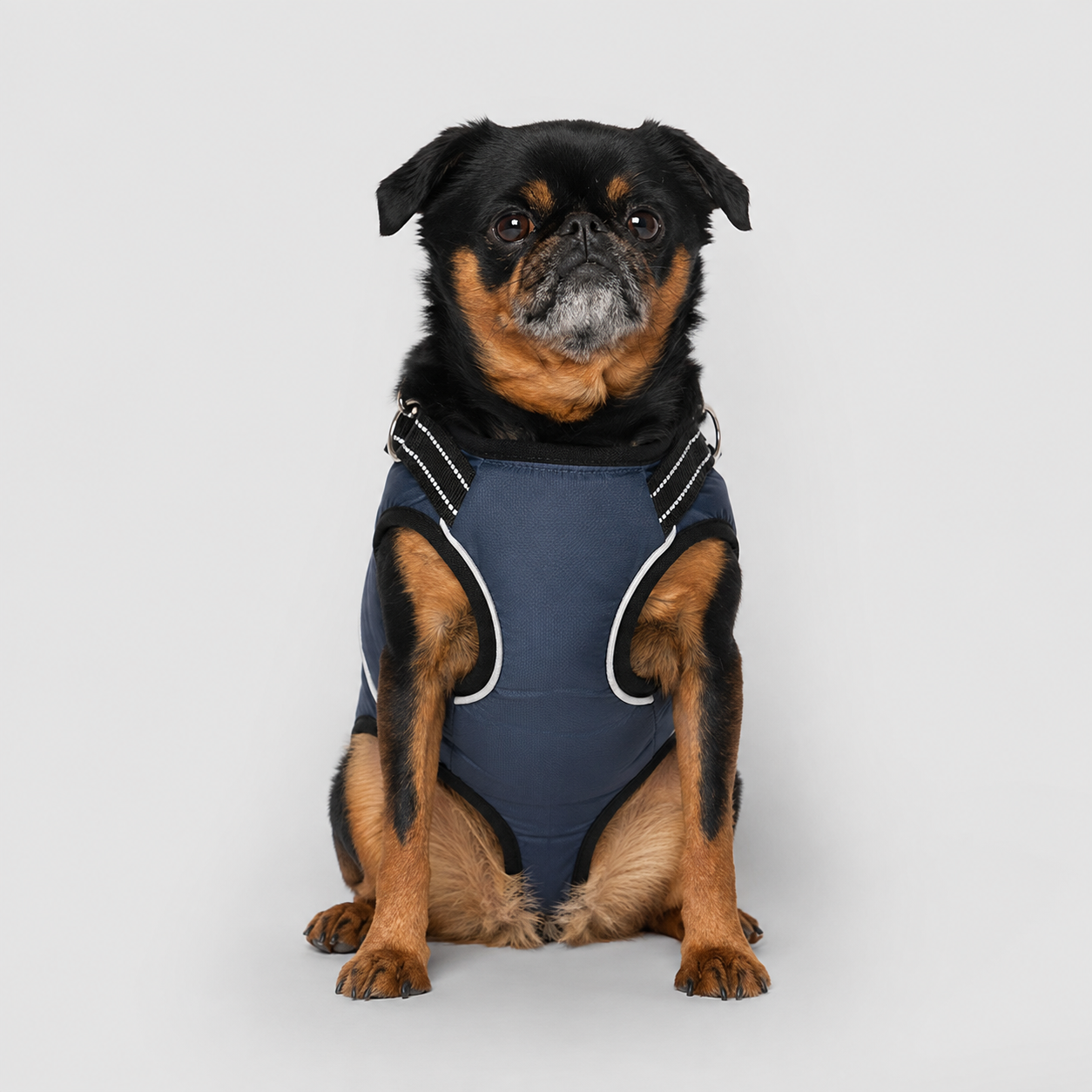 Dog Support Harness