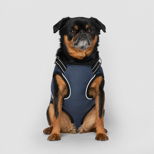 Dog Support Harness